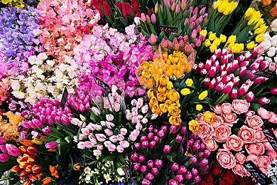 《刺客信条：影》实机视频介绍双主角玩法差异